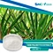 Saw palmetto extract is an extract of the fruit of Serenoa repens. It is rich in fatty acids and phytosterols.